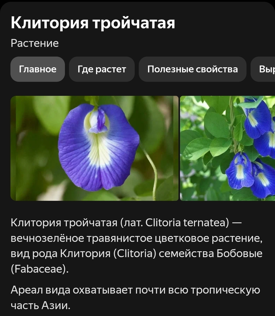 Screenshot2025-04-16-08-05-12-245com.android.chrome-edit