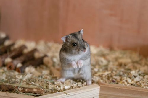 9488255-4UG6m.jpg