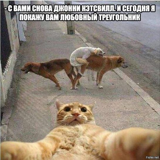 11335017-bbWIo.jpg