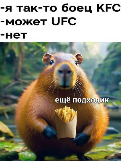 13743440-2DGnN.jpg