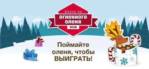 15713441-u81So.jpg