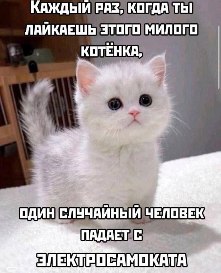 mimFfRwdR8vk9wIbtQ9C4tZgN16GcWzDXKjyHdZ6Nsvi2yxNGaesGNBIVNnDLZT9EDVNtr0JbJHHuhD4aetKuQ