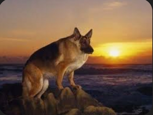 Screenshot2025-08-28-02-43-46-49d365b52accad0f47adbc08c16219827d