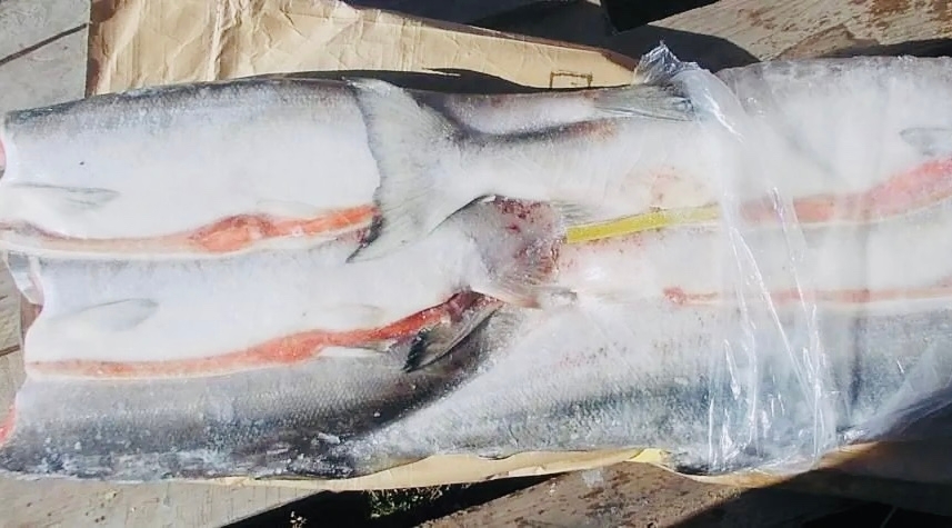 fJkQEuvoDYlC--pMvyyDvVR2rCbkrJ47QnNsczhMYA88560SzQwdxMd4ZHuv4Ngx3-ifSFMyHJarFEcNxOYL9