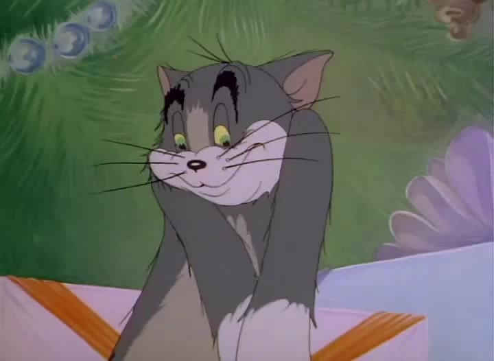 14107506651388091468image