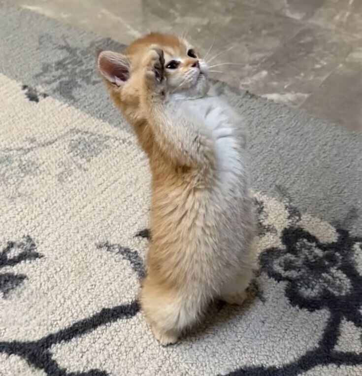 3d8f312c-e3cc-525e-a718-6ff1c9507357