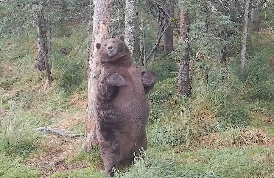 full-69ae30f5c6a547d7509b454b4c2b9f68