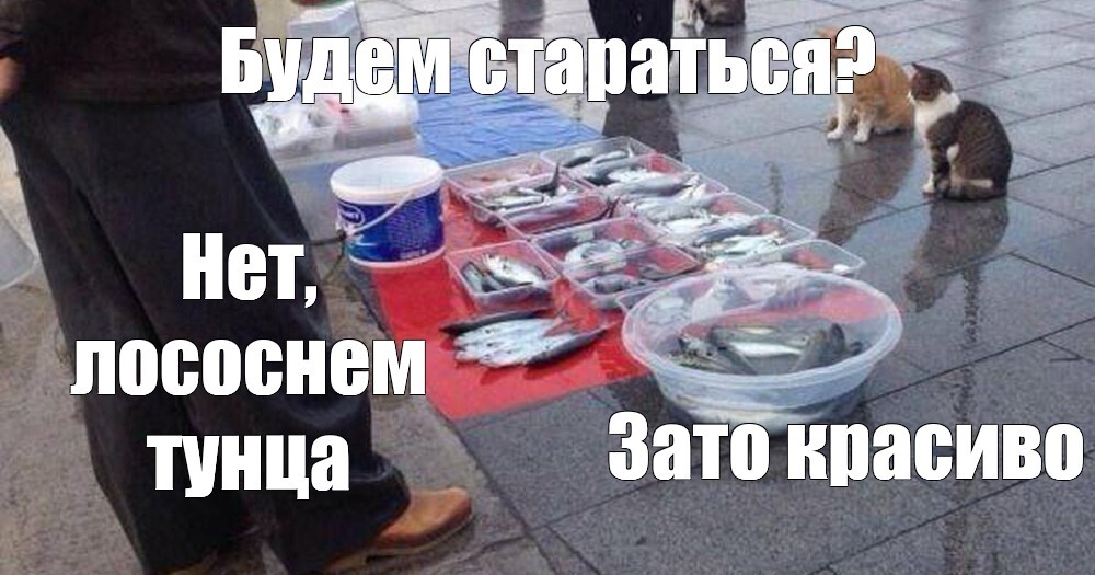 d57fe1af560322320a607c63856c5eab