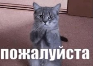 vsegdapozhaluysta39936af1d