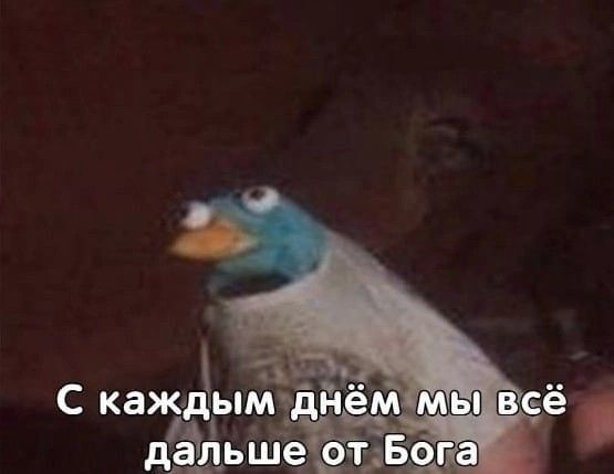 13948768-BTQvb.jpg