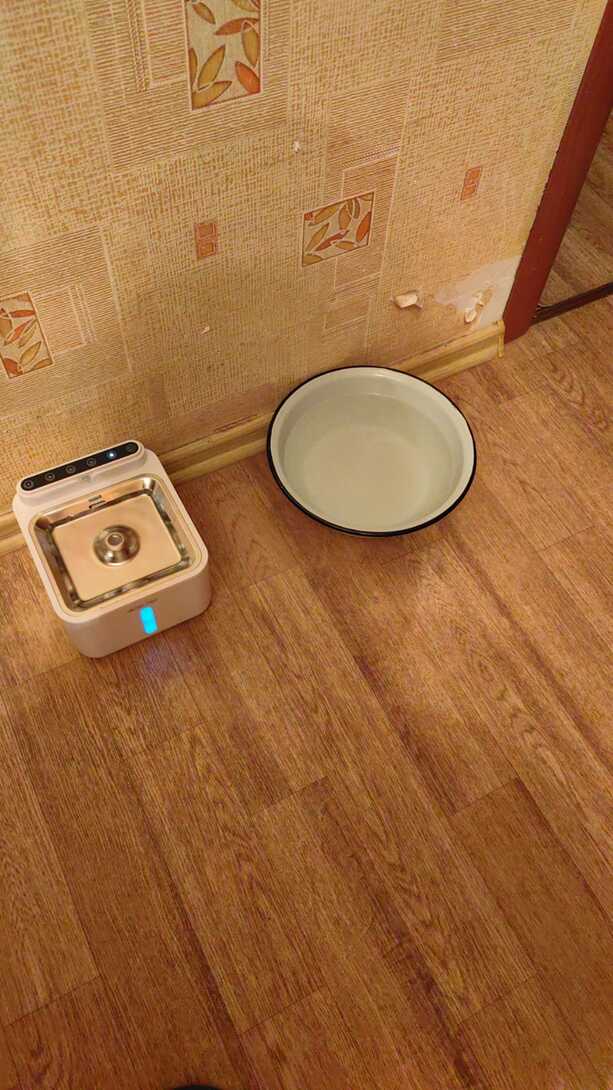 WhatsApp2025-02-0919.47.3917b8c6e9