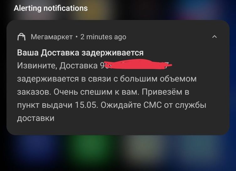 14385420_1.jpg