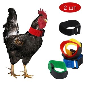 Куриный ошейник против кукарекания, 2 шт (из-за рубежа, с озон-картой)
