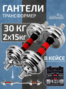 Гантели разборные металлические 30кг (15x2) с картой Ozon