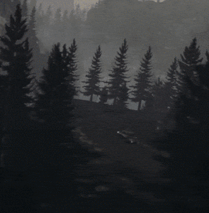 [PS4, PS5] Alan Wake Remastered RU: текст (TR, IN, UA PSN)