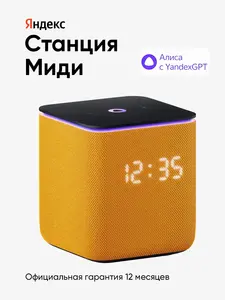 Умная колонка Станция Миди с Алисой (с макс. ВБ кошельком и подпиской)