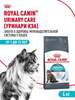 Сухой корм для кошек Royal Canin Urinary Care для профилактики мочекаменной болезни, 4 кг