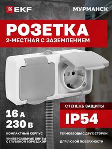 Розетка накладная двойная EKF 16А, с заземлением, с крышкой, IP54, уличная (с картой Пэй)
