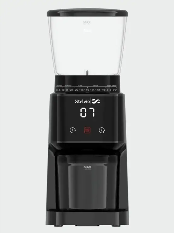 Кофемолка электрическая жерновая Stelvio FR300 (с ВБ кошельком)