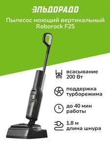 Пылесос моющий вертикальный Roborock F25 Black