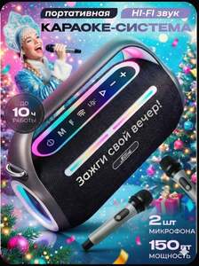 Колонка с караоке и двумя микрофонами (с картой OZON)